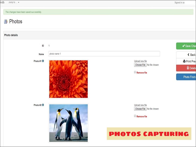 Photo Management