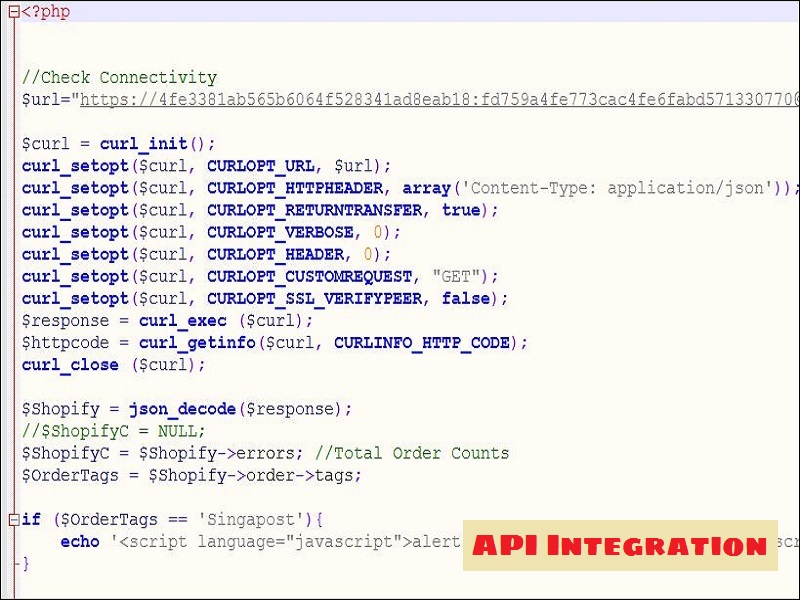 API Integration